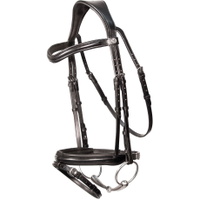 Saddlery Comfort Flash Bridle